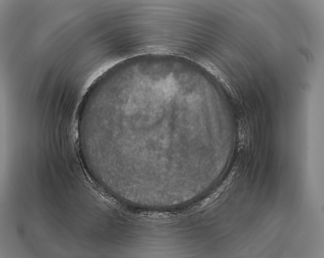 X0000113111070200909251047