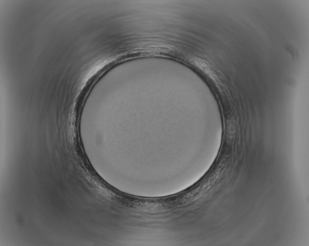 X0000113111071200909251047