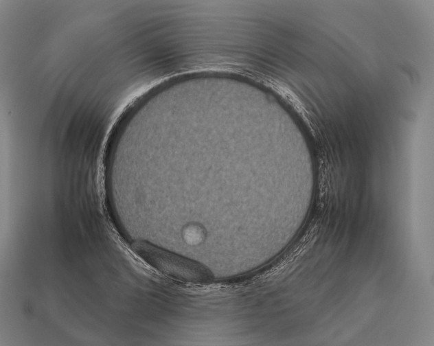 X0000113111072200909251047