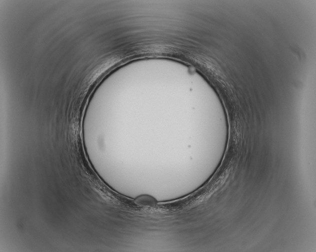 X0000113111073200909251047
