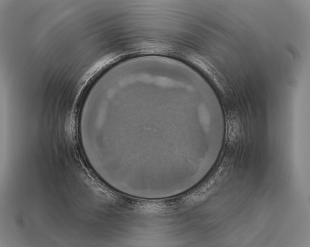 X0000113111074200909251047