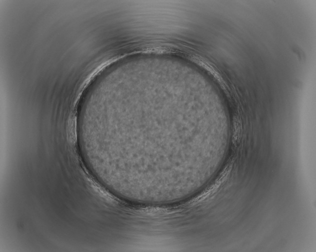 X0000113111075200909251047