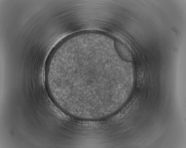 X0000113111076200909251047