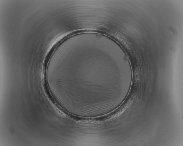 X0000113111077200909251047