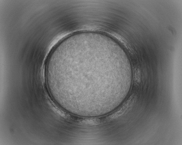 X0000113111078200909251047