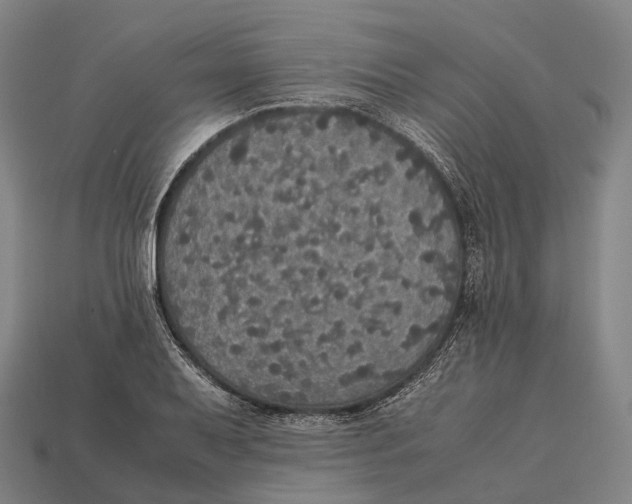 X0000113111079200909251047