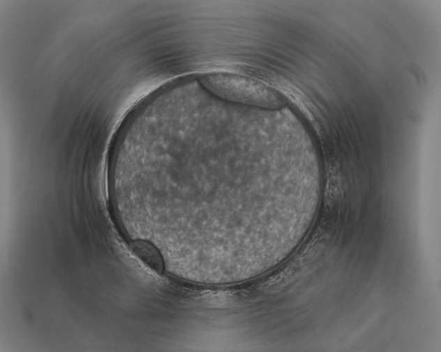 X0000113111080200909251047