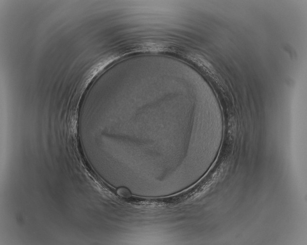X0000113111081200909251047
