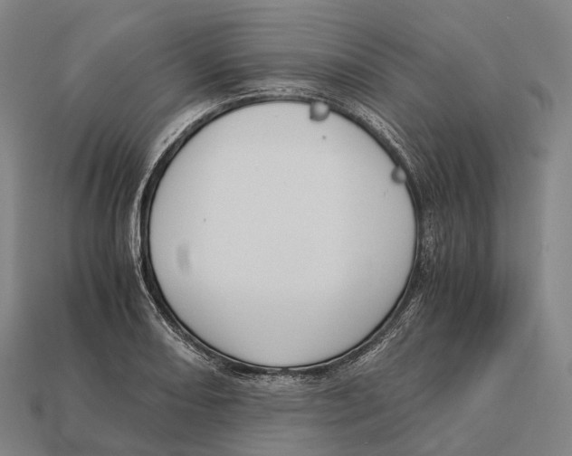 X0000113111082200909251047