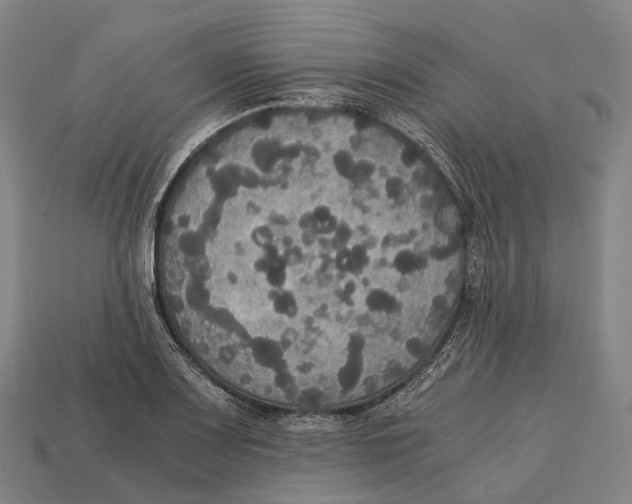 X0000113111083200909251047