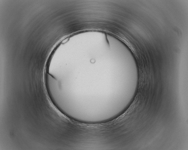 X0000113111084200909251047