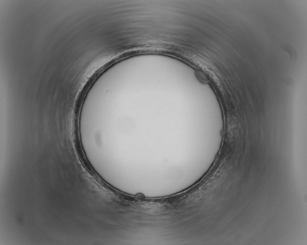 X0000113111085200909251047