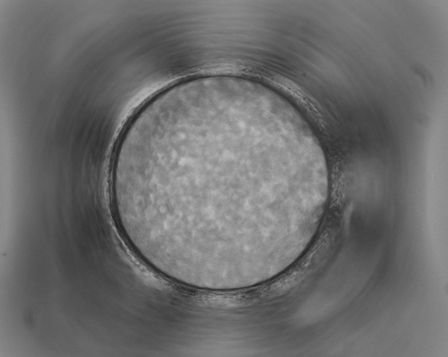 X0000113111086200909251047