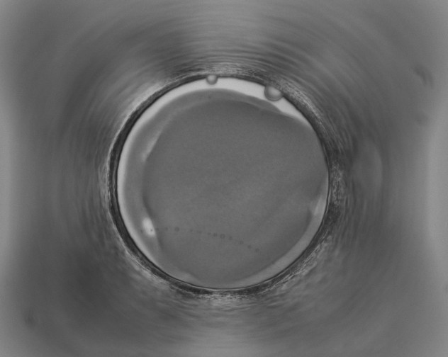X0000113111087200909251047
