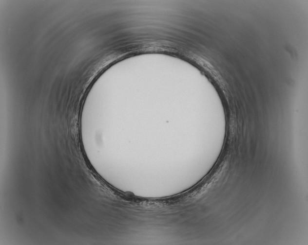 X0000113111089200909251047