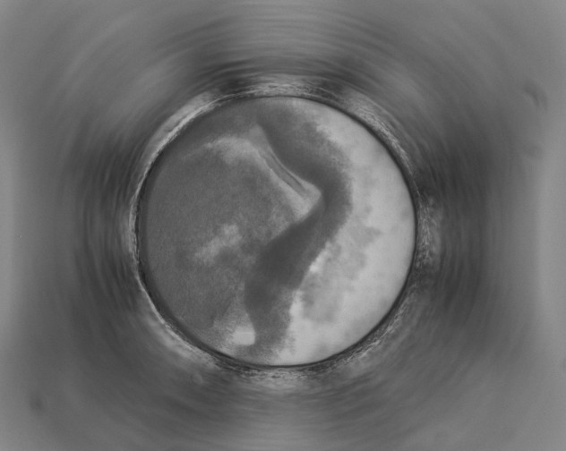 X0000113111090200909251047
