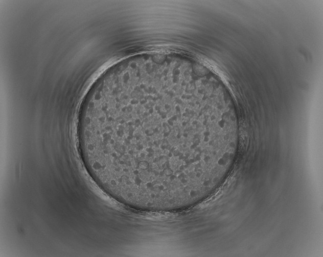 X0000113111091200909251047