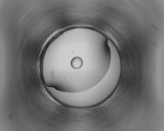 X0000113111092200909251047