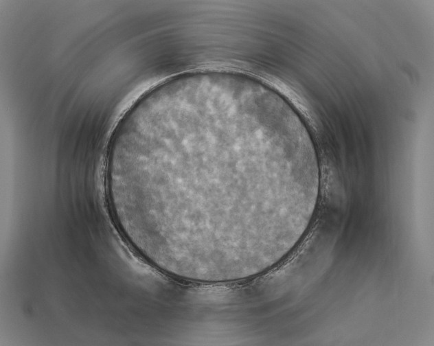 X0000113111094200909251047