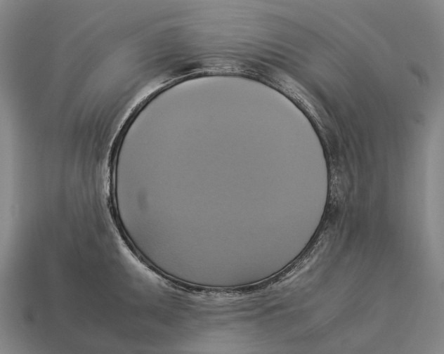 X0000113111095200909251047