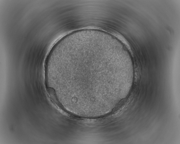 X0000113111096200909251047