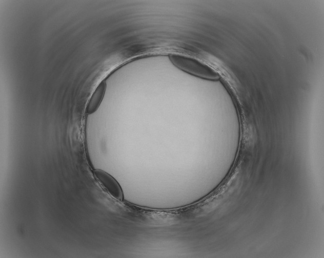 X0000113111097200909251047