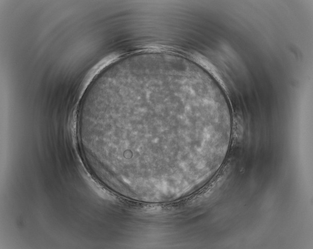 X0000113111098200909251047