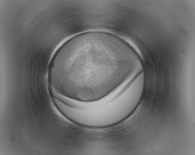 X0000113111100200909251047