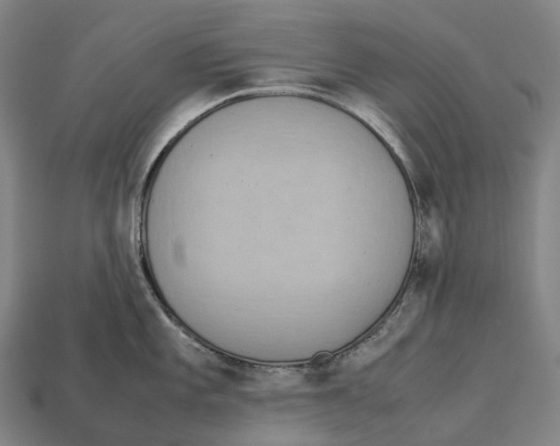 X0000113111101200909251047