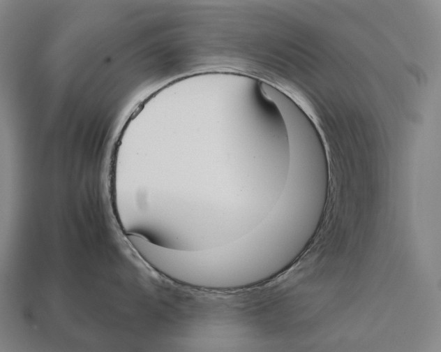 X0000113111104200909251047