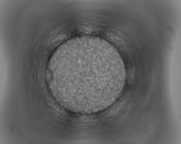 X0000113111105200909251046