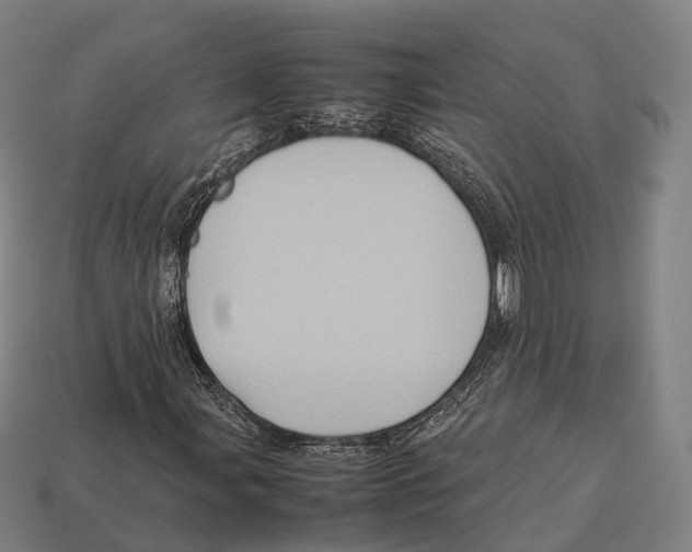 X0000113111107200909251046