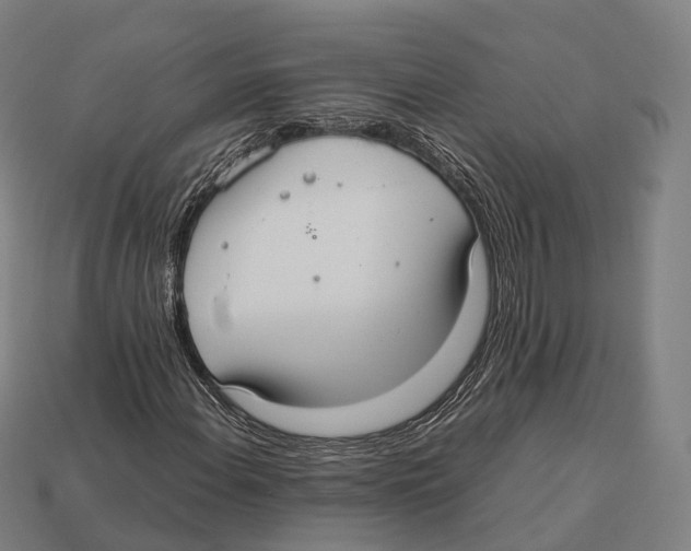 X0000113111108200909251046