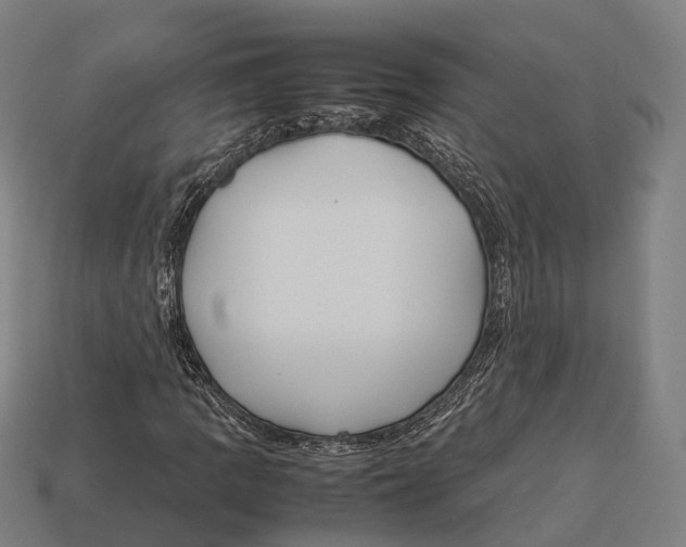 X0000113111109200909251046