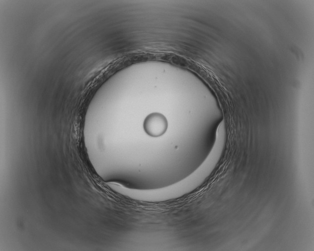 X0000113111110200909251046