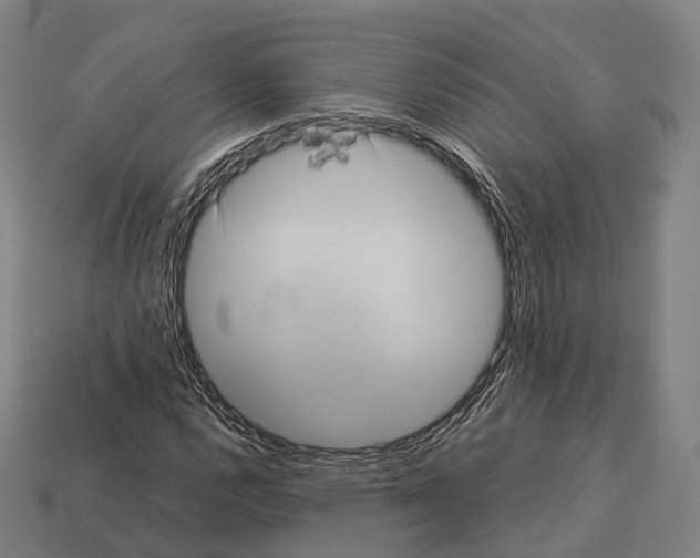 X0000113111112200909251046