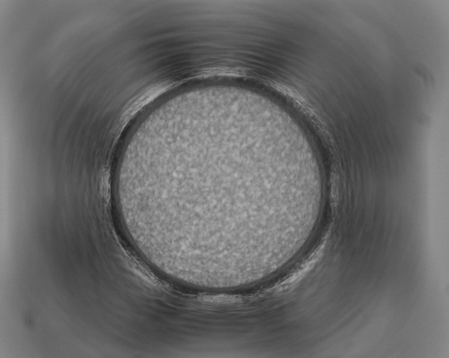 X0000113111113200909251046