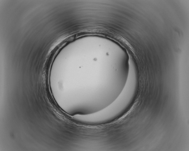 X0000113111114200909251046
