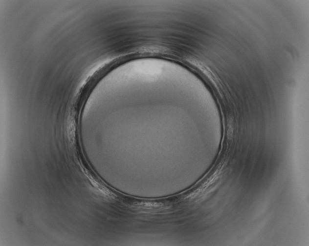 X0000113111115200909251046
