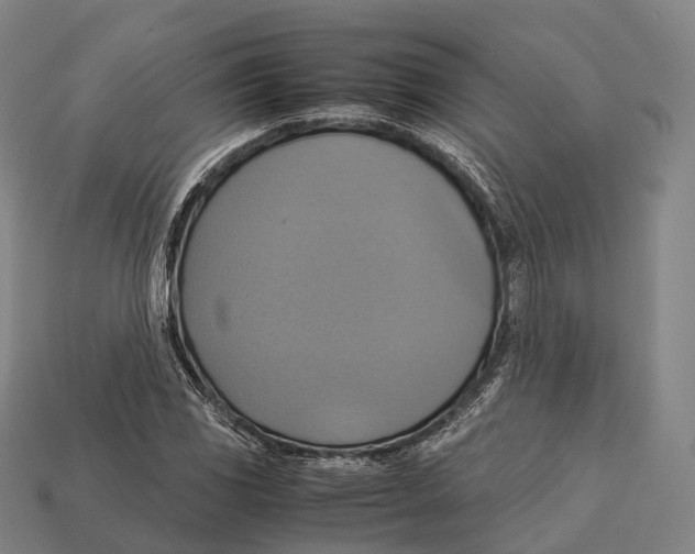 X0000113111117200909251046