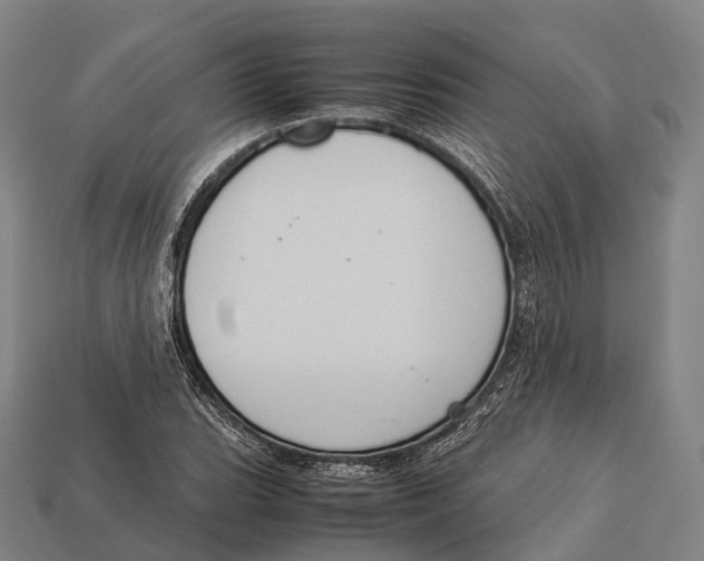 X0000113111119200909251046