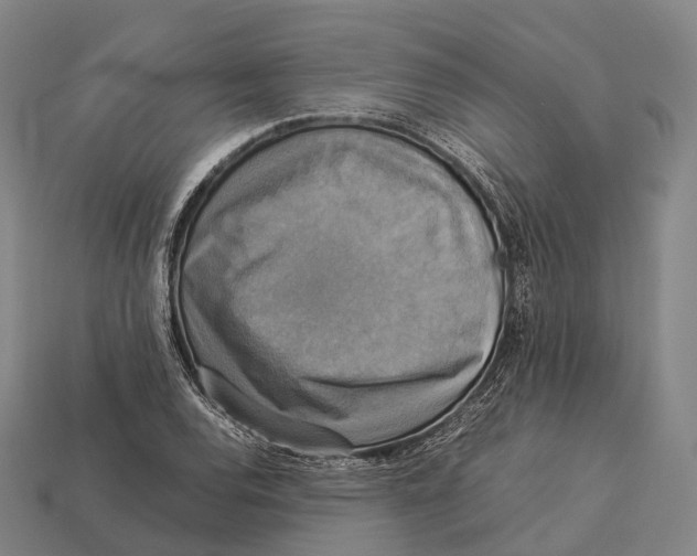 X0000113111120200909251046