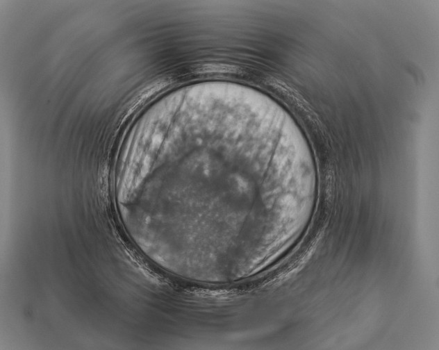 X0000113111121200909251046