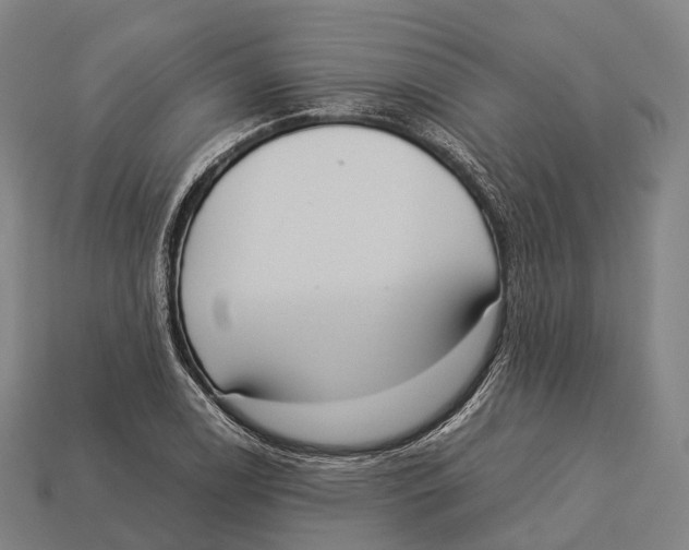 X0000113111122200909251046