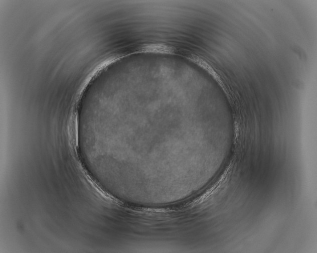 X0000113111123200909251046