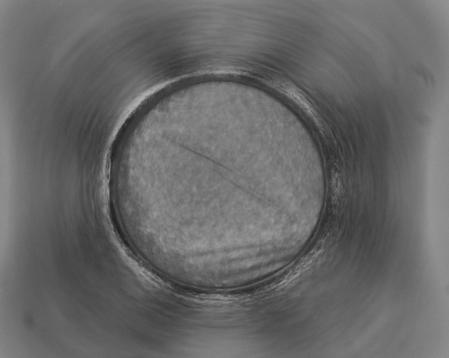 X0000113111124200909251046