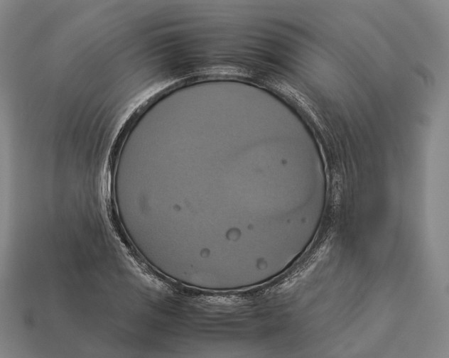 X0000113111125200909251046