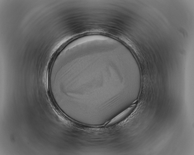 X0000113111127200909251046