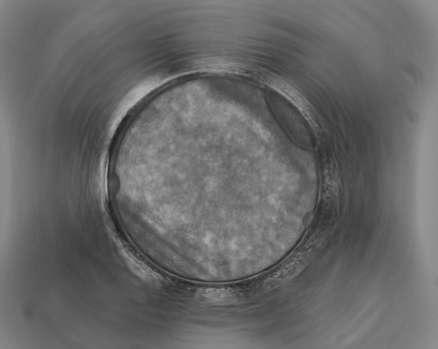 X0000113111128200909251046