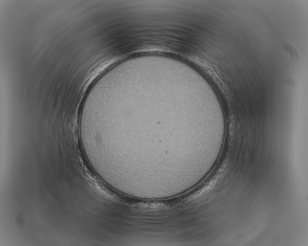 X0000113111129200909251046